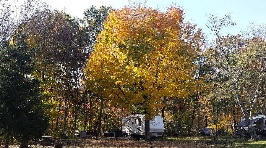 Fall campsites